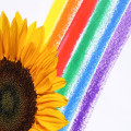Hoe ontstaat een regenboog en waarom heeft deze kleuren?