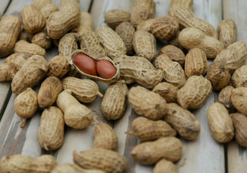 Waar kun je de beste kwaliteit noten kopen?