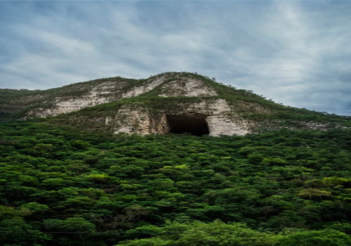 Hoe beïnvloedt luchtvochtigheid ons comfort en de gezondheid in huis?