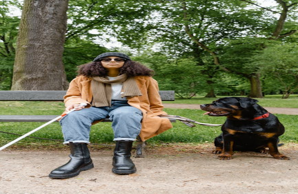 Wat betekent laagdrempelig uitgelegd en waarom hoor je het zo vaak
